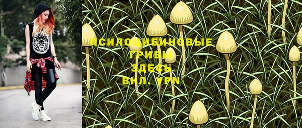 мет Алзамай