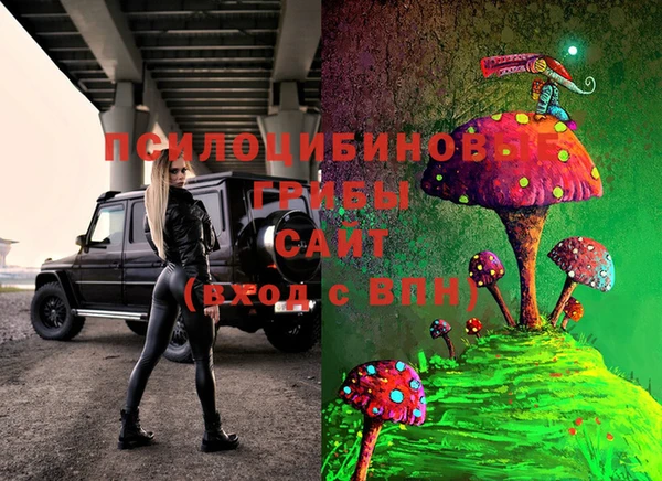мет Алзамай